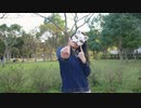 【belia】恋ダンス 踊ってみた【2021ver.】