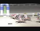 2021年1月24日高知競馬7R 土佐水木特別(準重賞・3歳) ベアナチュラル