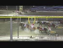 2021年1月24日帯広競馬10R 第14回白雪賞(4歳OP) ブラックサファイア・カイセドクター
