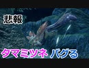 【MHRise】タマミツネ、バグる