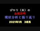 ぴかり（夫）の血統診断　現状分析と振り返り（2021年1月 3歳馬編）