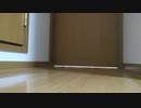 走れハムスター☆