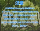 全てを失った付喪神が幻想入り　第十七張