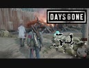 【Days Gone】最強の矛【PART54】