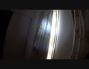各部屋で放射線照射の白い飛跡