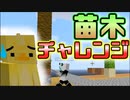 【Minecraft】ジャングルの木が消滅の危機！？#6【スカイブロック】