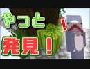 【Minecraft】○○発見はこしょこしょ話で！！#7 【スカイブロック】