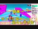 【ひなの羽衣】深夜テンションのFALL GUYS