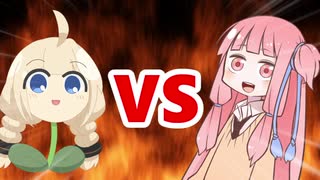 茜ちゃんVSあかり草