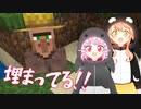 #12 村人をパンで買収して守護神になる!!【ひなほのマインクラフトライフ】