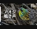 アオジの鳴き声01地鳴きオス　birdsong of Black-faced Bunting  Emberiza spodocephala 青鵐、蒿鵐、蒿雀　鳥の鳴き声　身近な生き物語　アオジ