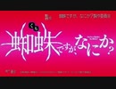 蜘蛛ですが、なにか？ OP