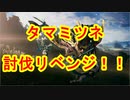 タマミツネ討伐リベンジ！！【モンスターハンターライズ体験版】