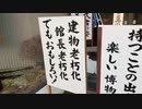 伊藤福島(SC伊藤) 2021年01月25日16時20分【川越】小江戸を観光しながら菓子屋横丁を散策する【ニコ生録画】