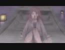 HotaruT AMV [Arctic Tribe] Aniki.fi