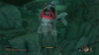 SEKIRO:SHADOWS DIE TWICE(隻狼)初見実況part36