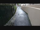【生海月】なまくらじお【2021.1.26】