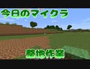 ～整地作業～【今日のマインクラフト#14】