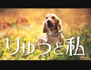【ミニチュアダックス】Ryuとの出会いはもしかしてパピーミル？日本のペット産業について思う事【愛犬との秘話‼️】