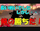【マリオカート8DX】この戦いに勝った俺は強いよ