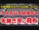 光のたぬき ⑥ 1-25-2021