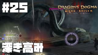 仕事辞めたので覚者になる。#25【ドラゴンズドグマダークアリズン】【DDDA】