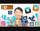 【インスタグラム】で動体視力テスト？リュウくん（ミニチュアダックス）を探せ！！