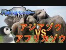 アジアゾウとアフリカゾウの違い8選【ゆっくり解説】