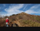 日本百名山に登ってみた番外39　ハチ高原鉢伏山編