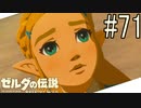 【ゼルダの伝説ブレスオブザワイルド＃71】彼女はときめくお姫様【はるの積みゲー崩し】