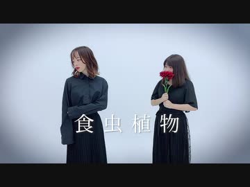 【定点ver.】食虫植物　踊ってみた【ルノン×はっち】