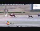 第8回梅桜賞 ティーズダンキー