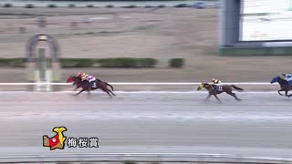 第8回梅桜賞 ティーズダンキー
