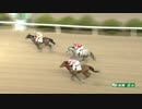 2021年1月26日佐賀競馬6R ＪＲＡ交流 ミヤマキリシマ特別(3歳九州産) アイアンムスメ