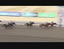2021年1月26日川崎競馬11R 第19回佐々木竹見カップジョッキーズＧＰ ヴィクトリーチャレンジ(B3) ノボリターン