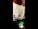 【Mildom】サブスク更新しないリスナーにネチネチ言うシンジ