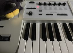 めざせポケモンマスターゆっくりver ピアノに挑戦するの巻