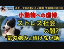 多忙の中のストレス社会の闇　ボギー大佐の言いたい放題　2021年01月26日　21時頃　放送分