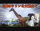 キリンは1種類ではなく4種類いるらしい【ゆっくり解説】