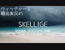 【観光実況#5】スケリッジ（前編）〜海と風、白銀の国〜【ウィッチャー3/Witcher3】