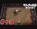 【実況】この距離で見えてない事ないですよね #13【ゼルダの伝説 夢をみる島】