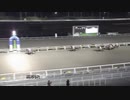 2021年1月27日高知競馬8R Ｕｐｐｅｒ協賛 尚美、待ってるよ特別(C1-3組) サクラヘラクレス