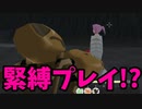 【ゆっくり実況】アニメの世界