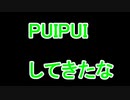 PUIPUIモルカート８DX【被弾するな】