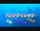 ハファダイレック・パラオ・龍馬ダイブクルーズ
