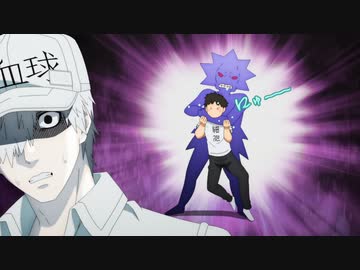 はたらく細胞!!　第4話　ピロリ菌／抗原変異