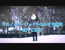 【小６】チルノのパーフェクトさんすう教室【×踊ってみた】【雪と戯れる】