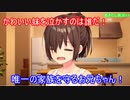 エロゲ界の異端児「ぬきたし」をツッコミプレイ！part13