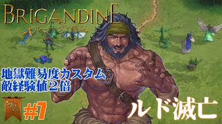 【ミレルバ編】ブリガンダイン ルーナジア戦記 実況したいん Part7