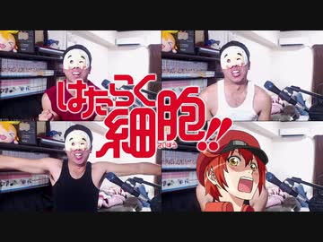 【やかましく歌ってみた】はたらく細胞!! OP「GO!GO!細胞フェスタ」